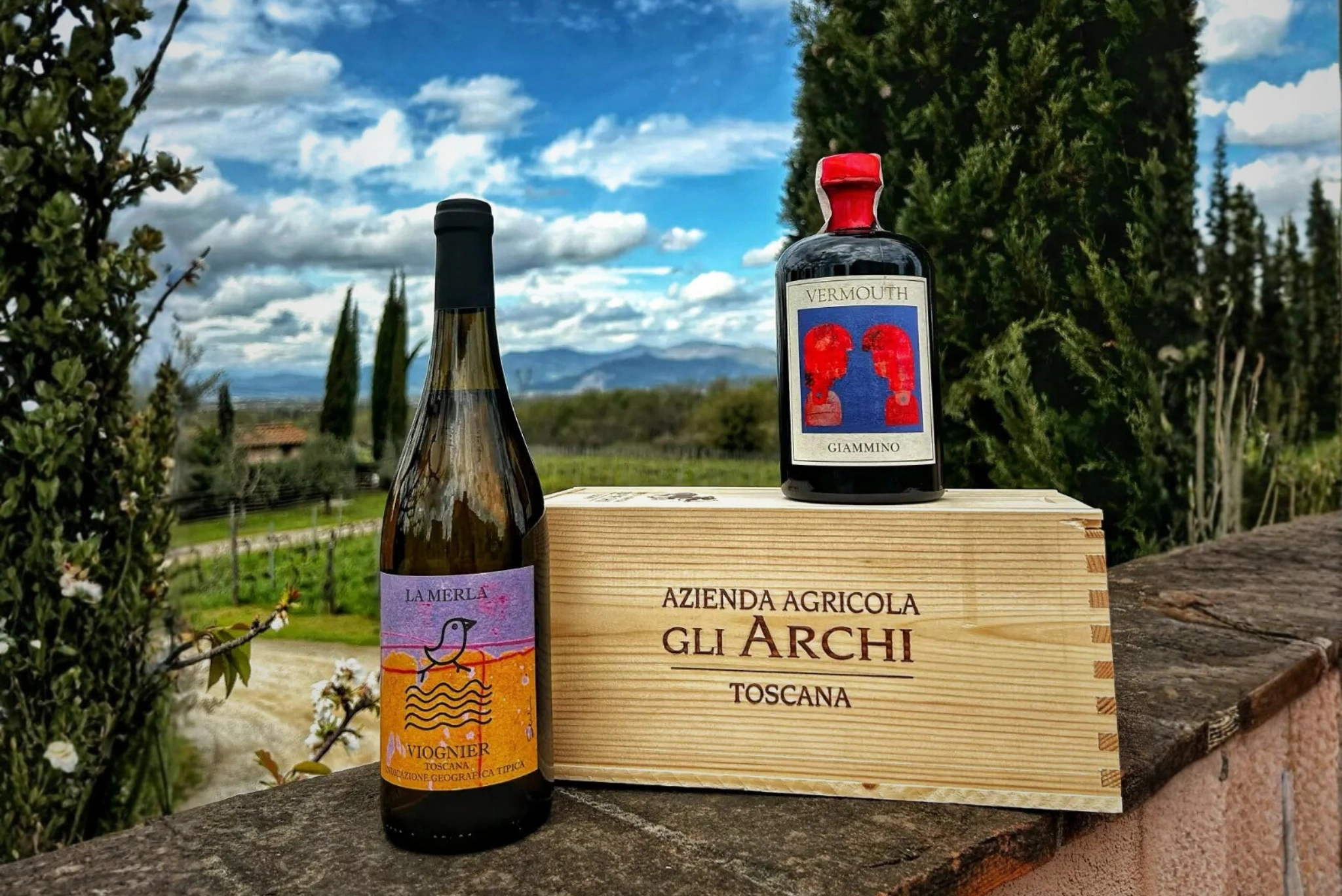 Wine&Co - Azienda Agricola Gli Archi