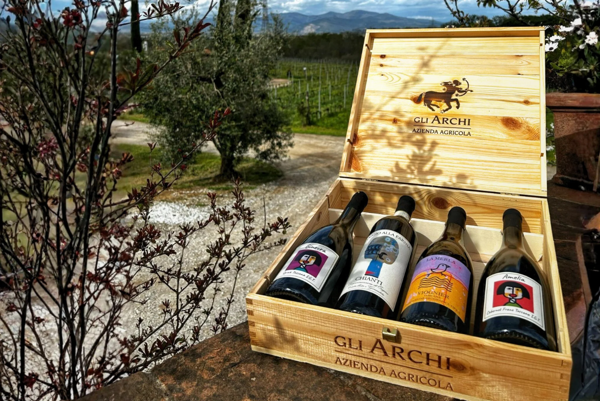 Wine&Co - Azienda Agricola Gli Archi