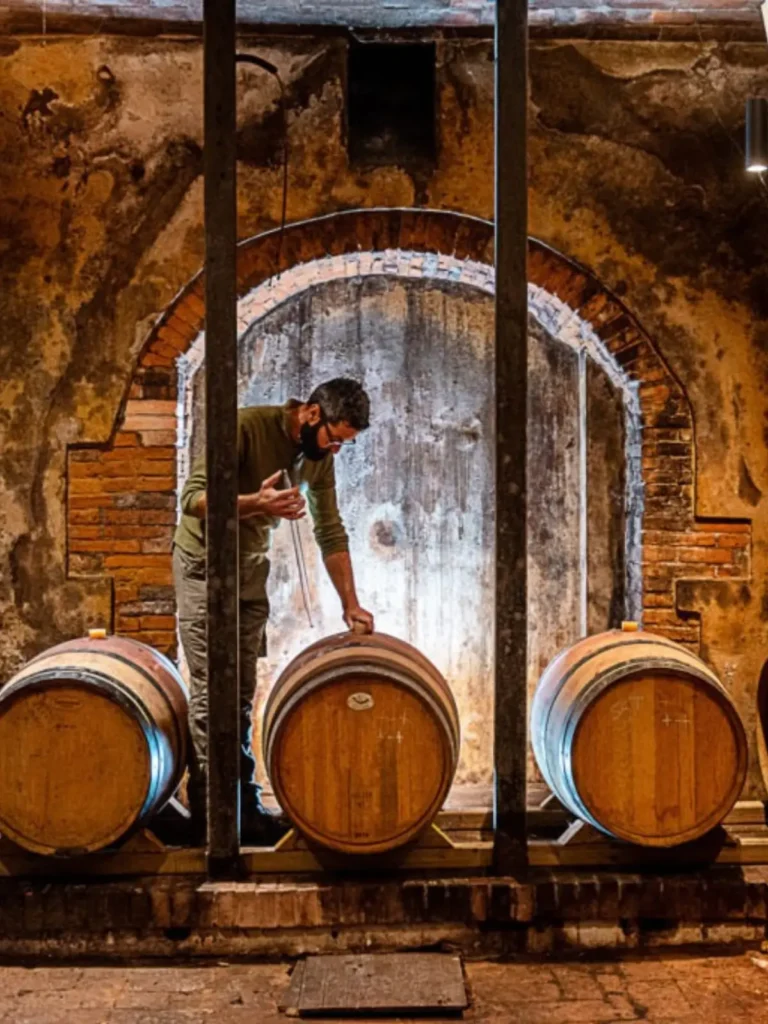 La Cantina - Azienda agricola "Gli Archi"
