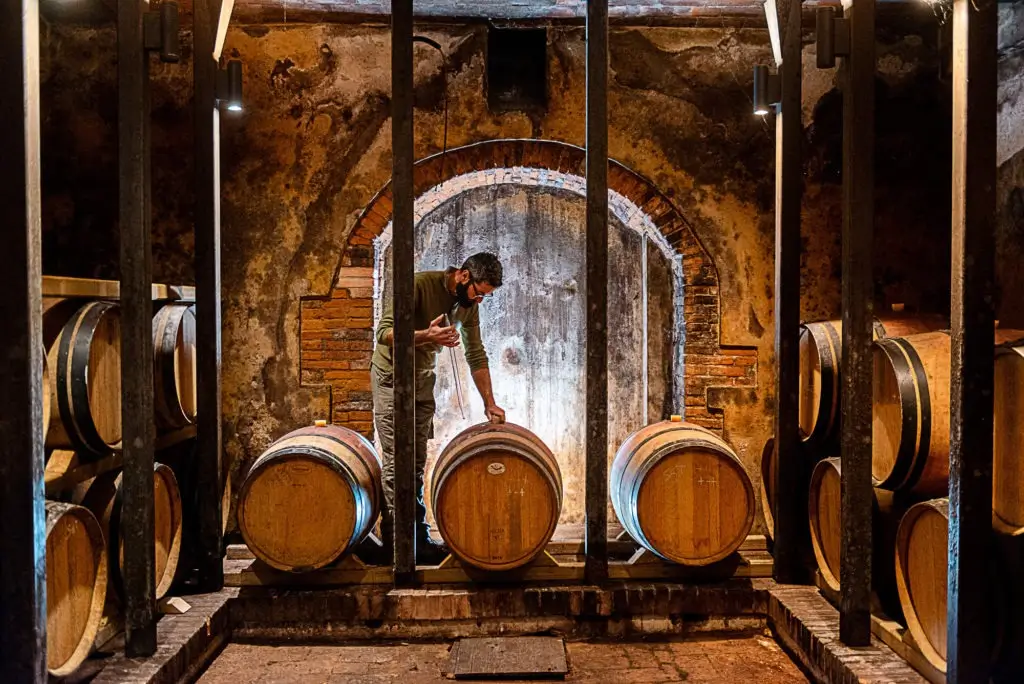 Esperienze & Degustazioni - Azienda Agricola Gli Archi