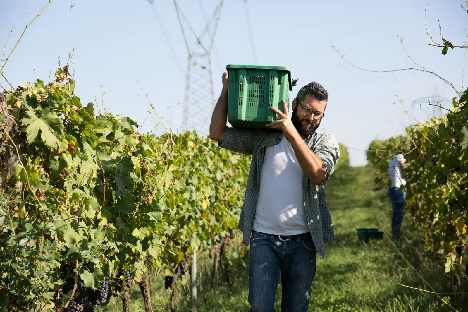 Wine&Co - Azienda Agricola Gli Archi